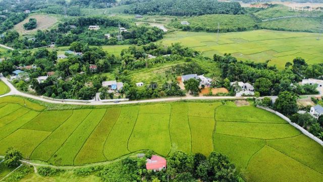 Bán 2000m2 siêu đẹp view cánh đồng tại Liên Sơn, Lương Sơn, Hòa Bình