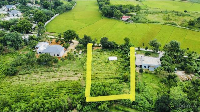 Bán 2000m2 siêu đẹp view cánh đồng tại Liên Sơn, Lương Sơn, Hòa Bình