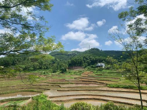Bán đất tại xã Lỗ Sơn, Tân Lạc, Hòa Bình diện tích 1516,6m2 giá 750 triệu