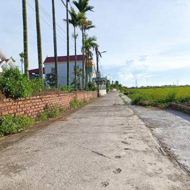 Bán đất tại đường 361, Phường Bàng La, Đồ Sơn, Hải Phòng diện tích 356,5m2