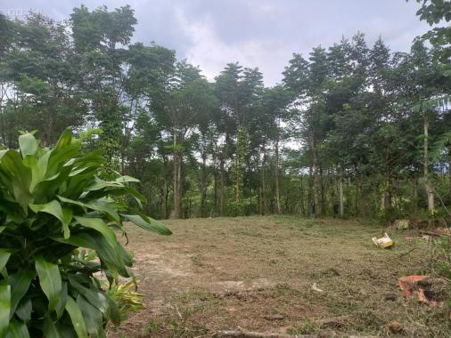 Chỉ 330 triệu sở hữu ngay hơn 1 sào đất ở khu dân cư xã Đắk Sin cách QL 14 4km