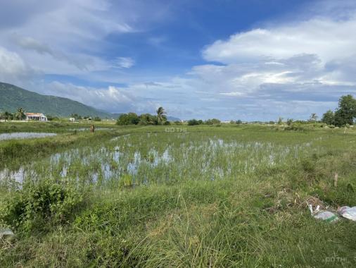 Bán đất ruộng phù hợp chuyển mục đích đất ở tại Bắc Vân Phong Khánh Hòa. Giá chỉ 2 tỷ DT 1782m2