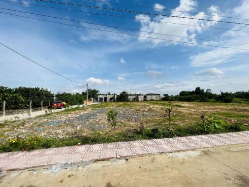 Bán đất nền KDC Bình Lợi Vĩnh Cửu 100m2, sẵn sổ hồng giá 1,25 tỷ