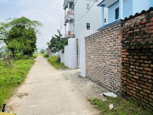 Bán đất tại đường Tỉnh Lộ 35, Xã Hiền Ninh, Sóc Sơn, Hà Nội diện tích 83m2 giá 15.5 triệu/m2