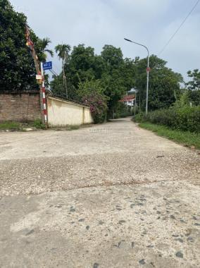 Bám mặt đường trục chính thôn DT 243m2 full thổ cư tại Kim Sơn giá chỉ 1xtr/m2