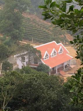 Bán đất nghỉ dưỡng 14000m2 tại Lương Sơn Hoà Bình