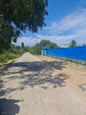 Đất biển 7x40m(282m2) Phan Chu Trinh, xã Tân Phước, LaGi. Full thổ cư - giá rẻ