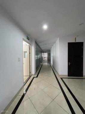 Bán nhà phố Nguyễn Tuân, 3 thoáng sáng rực rỡ, 2250m2, MT 90m, 600 tỷ