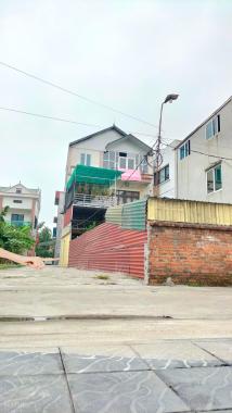 Bán đất tại đường 23B, Xã Nam Hồng, Đông Anh, Hà Nội diện tích 42.8m2 giá 1.9 tỷ