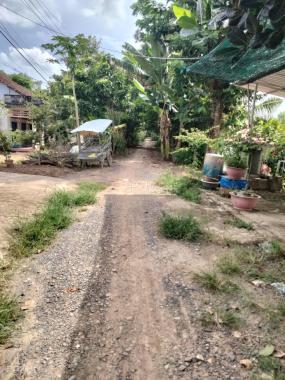 Chính chủ bán đất tặng nhà MT ngay gần QL80 - Lấp Vò
