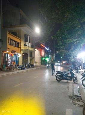 Bán nhà mặt phố tại đường Văn Miếu, Phường Quốc Tử Giám, Đống Đa, Hà Nội diện tích 112m2