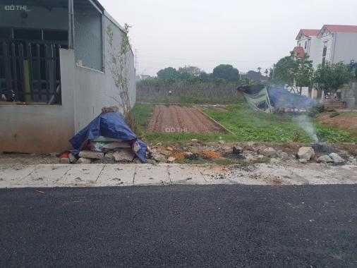 Thôn 12 Nghĩa Trụ - Văn Giang - 100m2, đất nở hậu. Sát vách Vinhomes Dream City