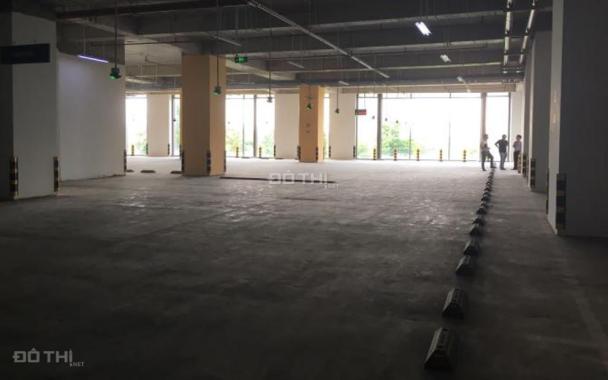 Cho thuê văn phòng 115m2 440 m2 tòa nhà Chelsea Park Trung Kính - Cầu Giấy - Hà Nội