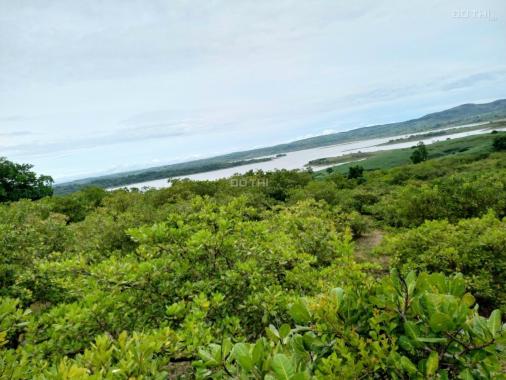 Chính chủ cần bán hơn 5ha điều Tỉnh Đắk Lắk view hồ lớn giá bán 300tr/ha (LH 0906359868)