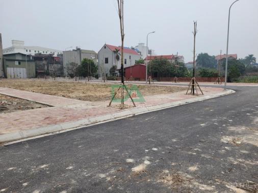 Bán đất đấu giá X2 xóm Ngõ Khê Nữ Nguyên Khê