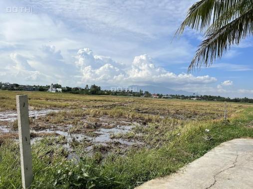 Đất nền xóm Dừa phường Đô Vinh diện tích 386m2, pháp lý sổ hồng