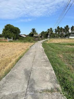 Đất nền xóm Dừa phường Đô Vinh diện tích 386m2, pháp lý sổ hồng