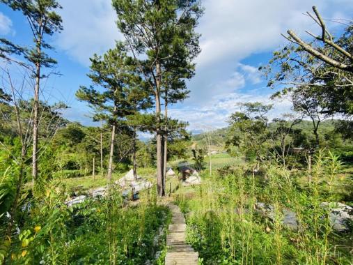 Bán đất làm Homestay, mặt tiền Tuyền Lâm, Phường 3, TP Đà Lạt, 16 tỷ