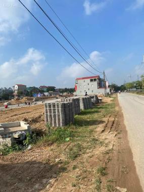 Bán đất tại đường 35, Xã Hiền Ninh, Sóc Sơn, Hà Nội diện tích 100m2 giá 13.9 triệu/m2