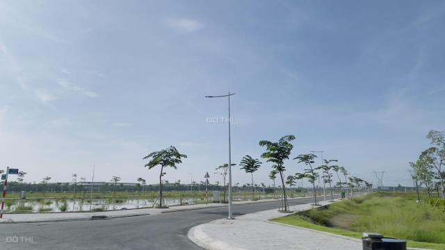 Cơ hội vàng trong làng đầu tư - Dragon Pearl