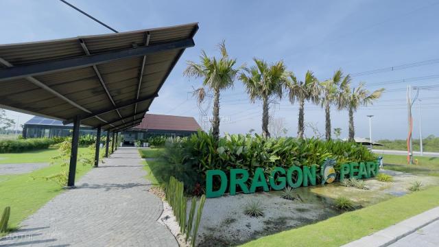 Cơ hội vàng trong làng đầu tư - Dragon Pearl