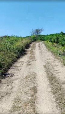 Mở bán 8 lô đất thuộc huyện M'Đrắk, tỉnh Đắk Lắk giá đầu tư chỉ 160tr/lô 2000m2 LH 0906359868