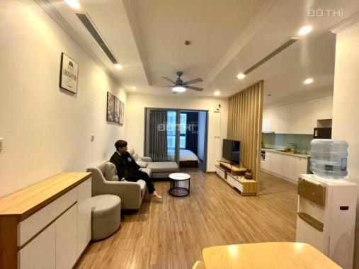Mình cần cho thuê gấp căn 1 phòng ngủ tòa Park 3 - Times City - 58m2, giá 11 tr/th