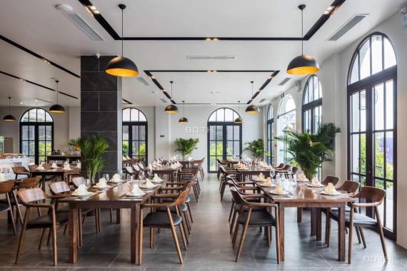 Cực phẩm, khách sạn mặt phố Hạ Long, Hạ Long: Gần 500m2, MT 30m, lô góc 3 mặt thoáng, 45 phòng KS