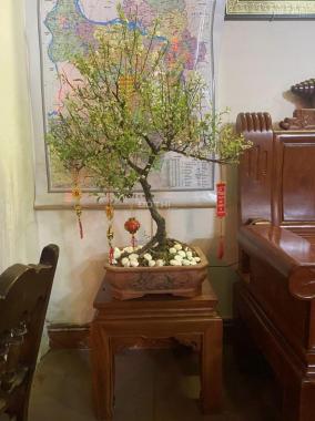 Bán nhà phân lô, khu X1, X3 Phú Đô trước nhà 2 hè thoáng