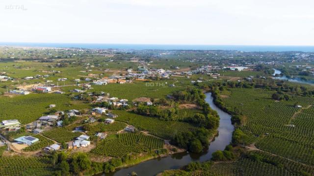 🔴Bán 2 Sào 80m Mặt Tiền Sông Tân Thuận, Hàm Thuận Nam Giá Rẻ
