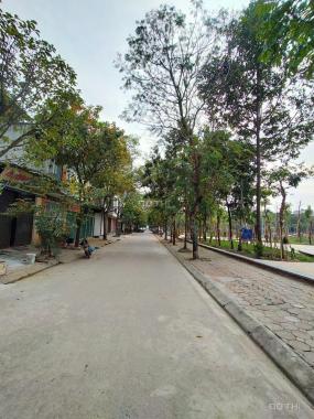 Bán đất tại Đường Mậu Lương, Phường Kiến Hưng, Hà Đông, Hà Nội diện tích 48m2 giá 5.8 Tỷ