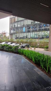 Cho thuê sàn thương mại dịch vụ 2000m2 Dolphin Plaza, Nguyễn Hoàng, Nam Từ Liêm