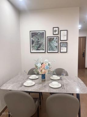 Cho thuê chung cư Vinhomes Gardenia, Hàm Nghi 1PN 2PN 3PN