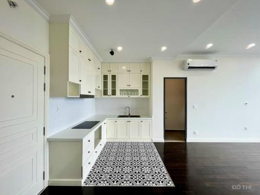 BDS Hungviland penthouse D'Lusso cần bán 01/03/2023