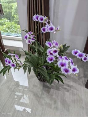 5 tỷ sở hữu ngay căn hộ 3PN 115m2 THE LINK Ciputra View sân GOLF siêu đẹp