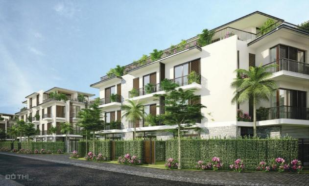Tổng hợp quỹ căn biệt thự, liền kề chuyển nhượng The Eden Rose Kim Giang, Thanh Trì
