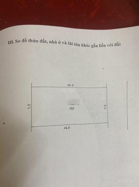 Chính Chủ Bán Gấp Lô Nhà Vườn Tứ Hiệp, Thanh Trì, Khu Vực Trung Tâm Víp Nhất Thanh Trì , KD Đắc Địa