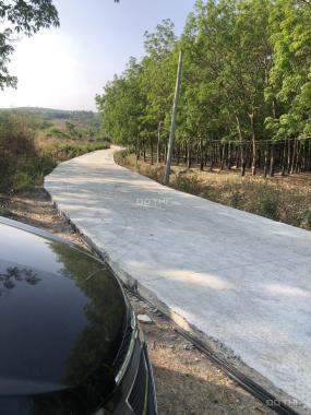 Chính chủ cần ra gấp 1004m2 đất tại Hớn Quản đường bê tông T6 lên 200m2 thổ cư giá 600tr 0909750300