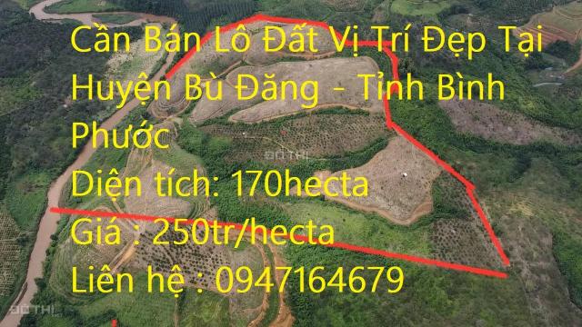 Bán đất tại Xã Phú Sơn, Bù Đăng, Bình Phước diện tích 170000m2