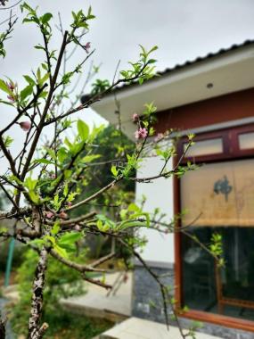 Biệt thự nhà vườn homestay Lương Sơn - Hòa Bình