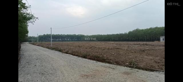 1000m2 chỉ hơn 700 triệu, Đất Nha Bích, thị Xã Chơn Thành, Bình Phước.