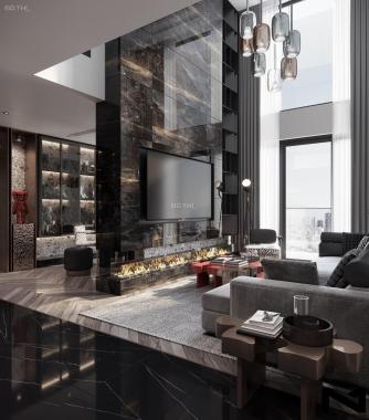 Chính chủ cần bán nhanh căn hộ duplex thông tầng The Zei view SVĐ Mỹ Đình, thuộc tầng 3X