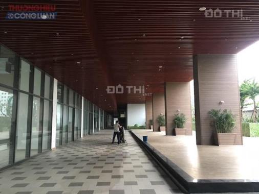 Cho thuê văn phòng Golden Palm Lê Văn Lương 500 - 1000m2, ưu đãi lớn 290 nghìn/m2/th