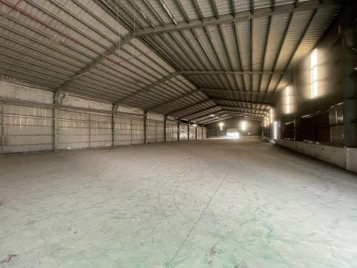 Cho thuê kho xưởng 2000m2 - 10.000m2 Trần Đại Nghĩa, huyện Bình Chánh, TP. HCM