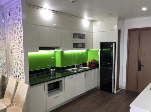 Cho thuê căn hộ 2 phòng ngủ nội thất nhập khẩu tại chung cư SHP Plaza Lạch Tray.