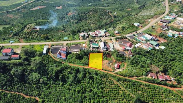 Bán đất tại đường 28, Xã Tân Châu, Di Linh, Lâm Đồng diện tích 512m2 giá 1.2 tỷ