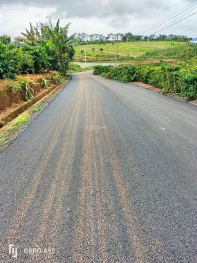 Bán đất tại đường QL20, thị trấn Di Linh, Tỉnh Lâm Đồng diện tích 2000m2 giá 5 tỷ TL
