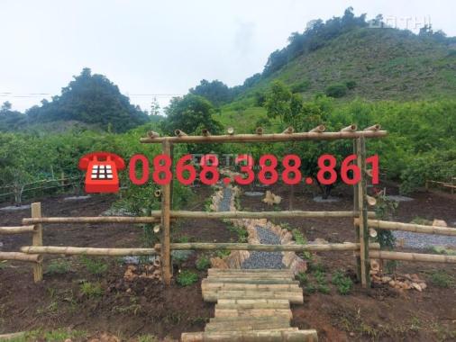 Cần bán mảnh đất 800m2 đẹp nhất Mộc Châu
