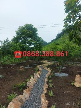 Cần bán mảnh đất 800m2 đẹp nhất Mộc Châu