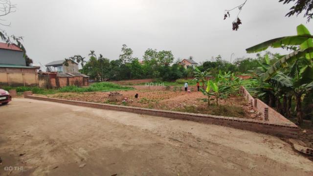 Bán đất tại Xã Minh Trí, Sóc Sơn, Hà Nội diện tích 564m2 giá 5.5 Triệu